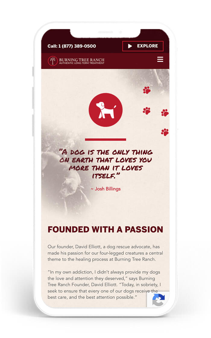 Burning Tree Ranch Web Design