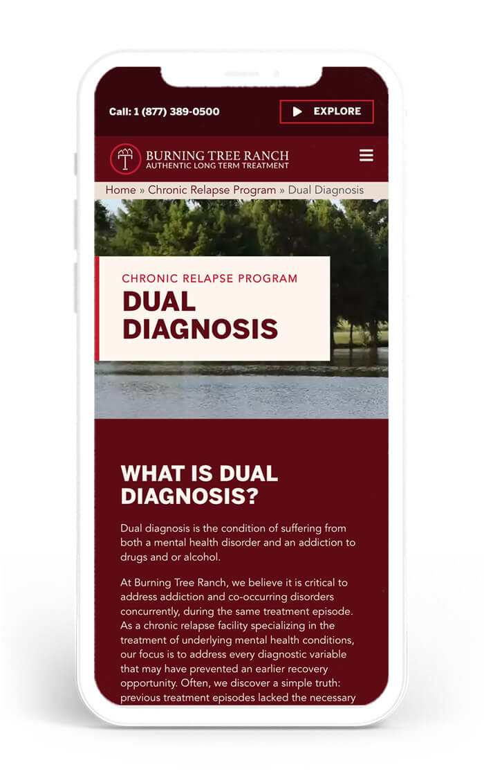 Burning Tree Ranch Web Design