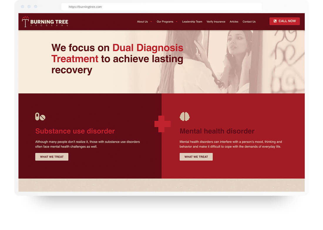 Website design - Burning Tree Programs