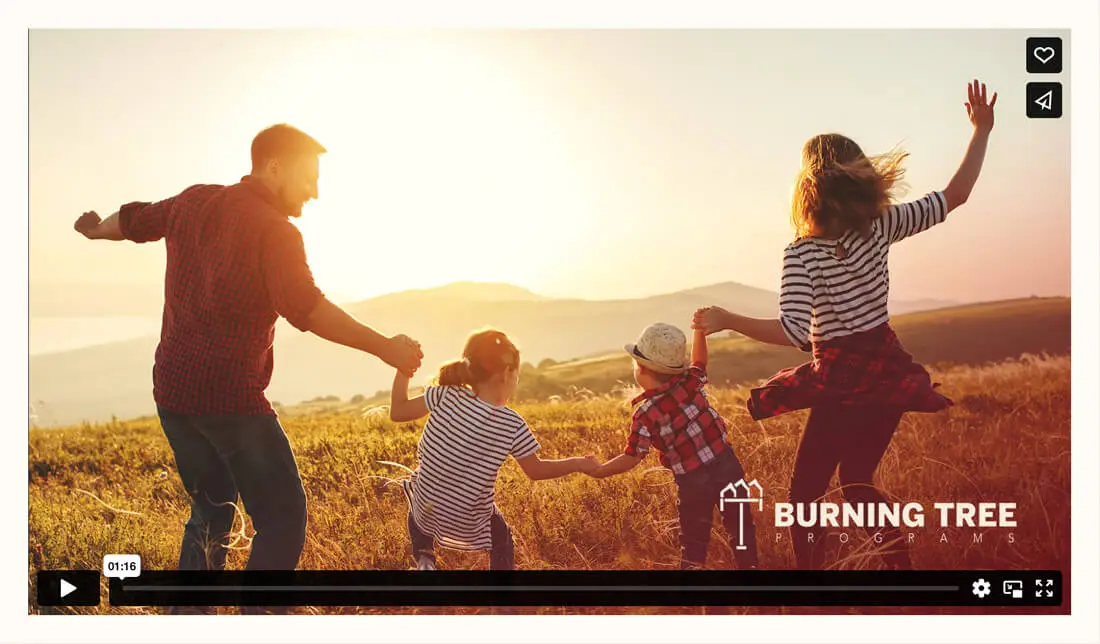 Website design   Burning Tree Programs